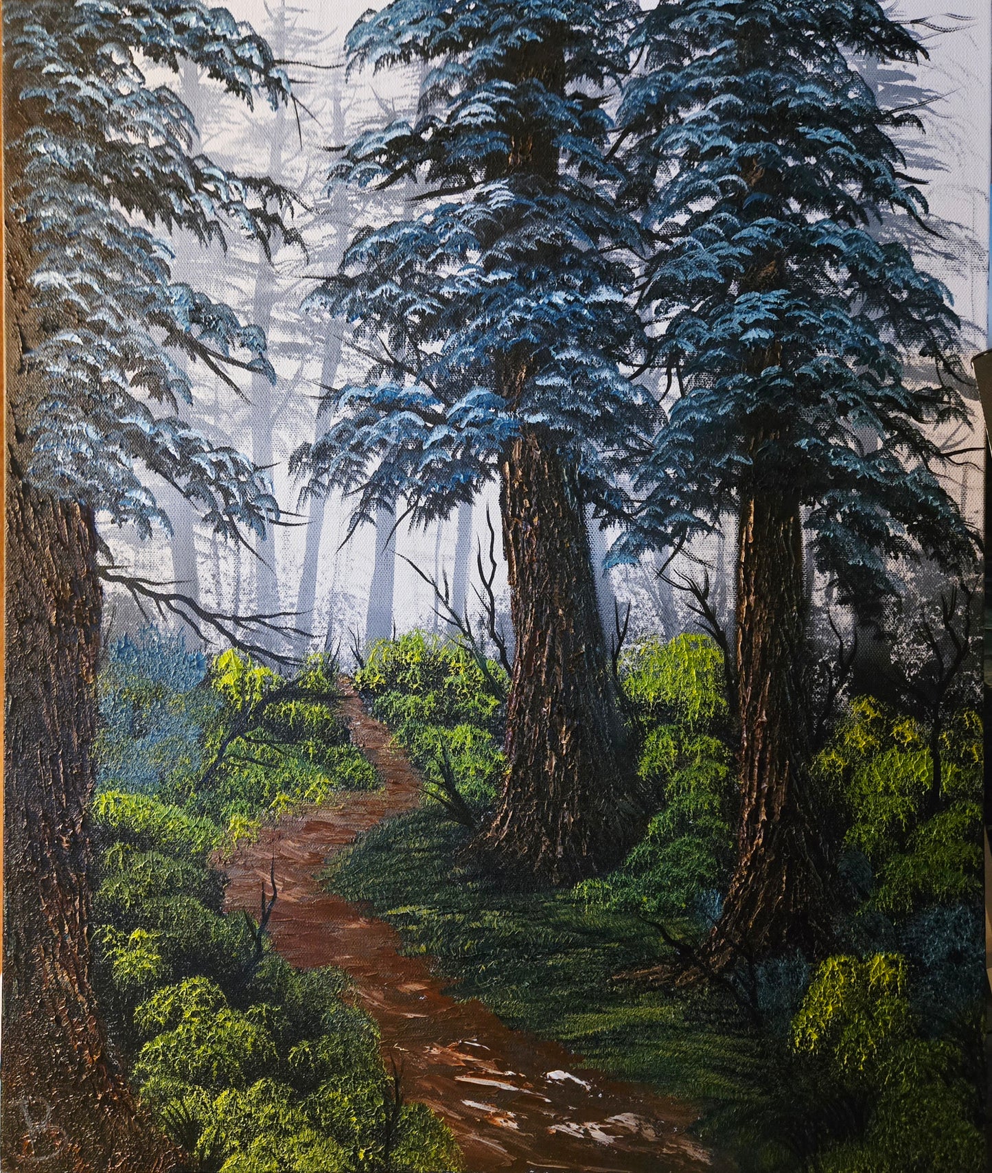 Redwood Grove