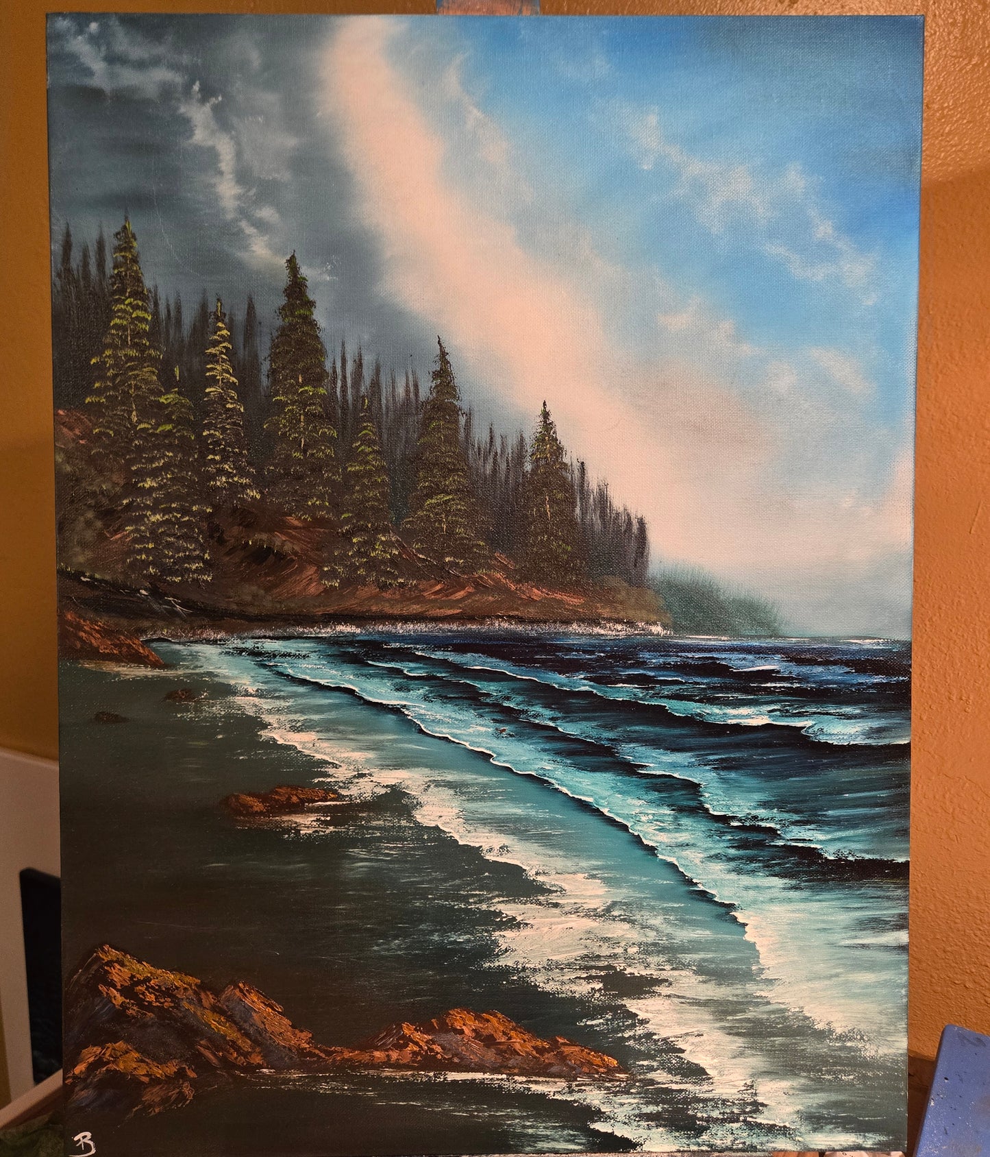 Stormy Coastline